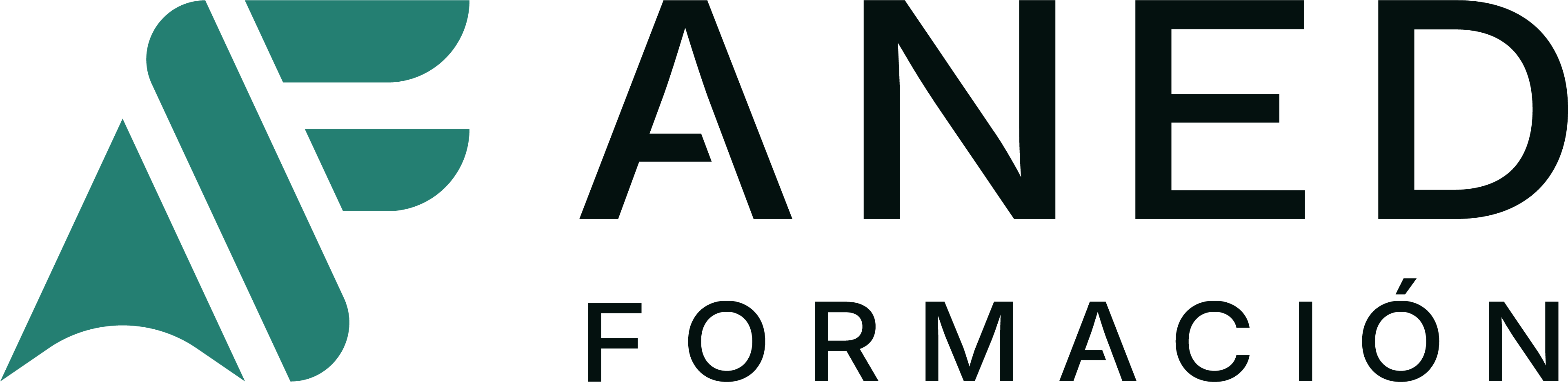 ANED Formación